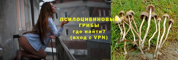 мдма Няндома