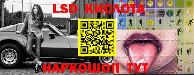 прущие грибы Сланцы