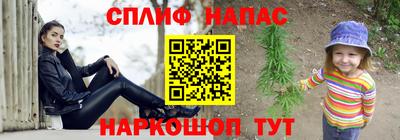 прущие грибы Сланцы