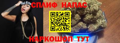 прущие грибы Сланцы