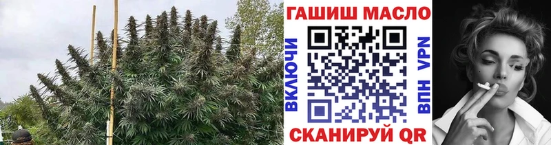 ТГК Wax  Тосно 